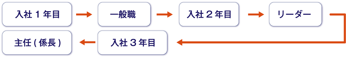 キャリア開発一般職